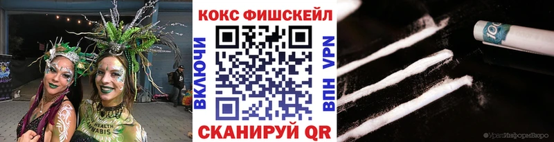 Купить  Кирс  COCAIN Эквадор 