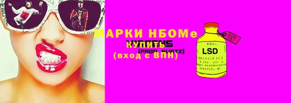 прущий лед Инсар