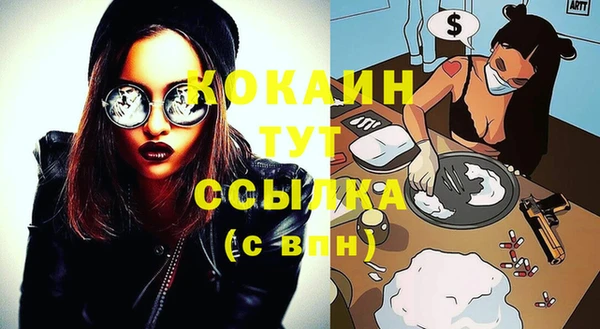 прущий лед Инсар