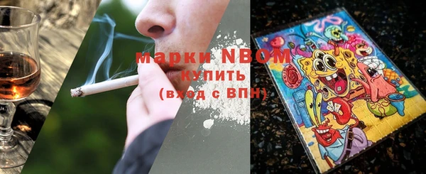 амф Инта