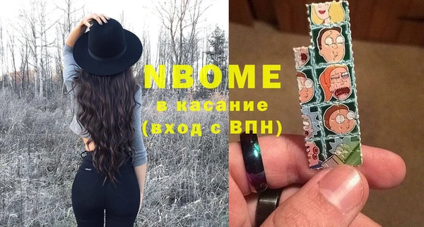 прущий лед Инсар