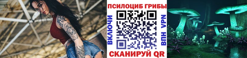 Купить закладки  Кирс  Галлюциногенные грибы ЛСД 